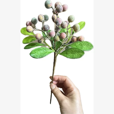 Ягоды Гиперикум30 ми