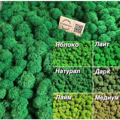 Ягель Альпийский зеленые оттенки 1 кг