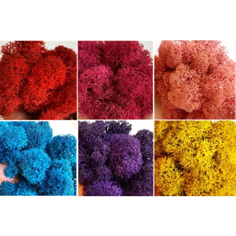 Ягель Альпийский цветные оттенки 1 кг