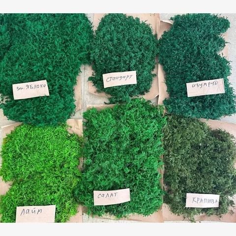 Пласт Папоротниковый, 1м2