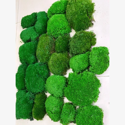 Кочки Лесные, 1м2