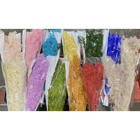 Аспарагус стабилизированный