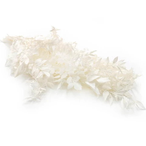 Рускус стабилизированный