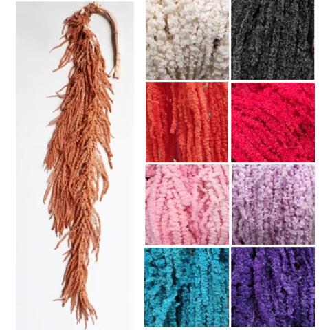 Амарант стабилизированный. S цветной