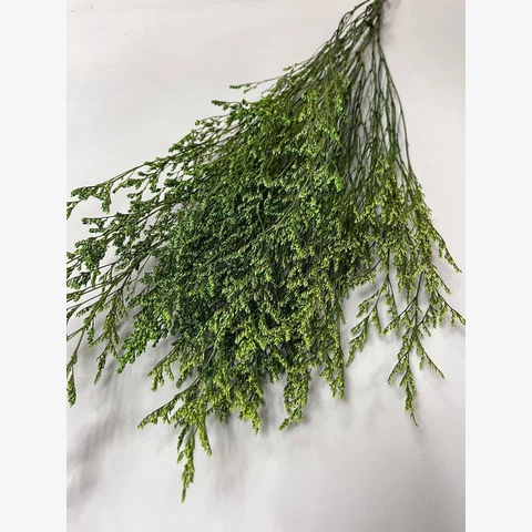 Кермек стабилизированный