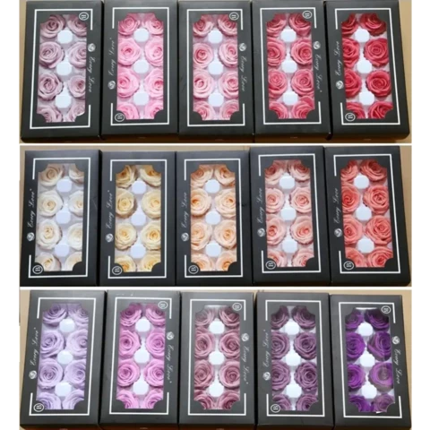 Роза средняя, 6 шт.