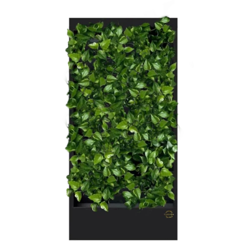 Фитостена №1.1 с автополивом, растениями и подсветкой