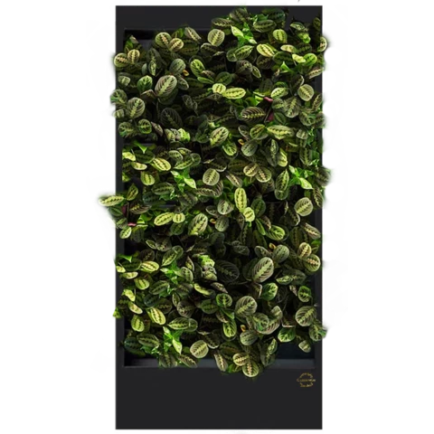 Фитостена №1.2 с автополивом, растениями и подсветкой