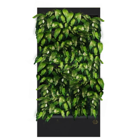 Фитостена №1.3 с автополивом, растениями и подсветкой