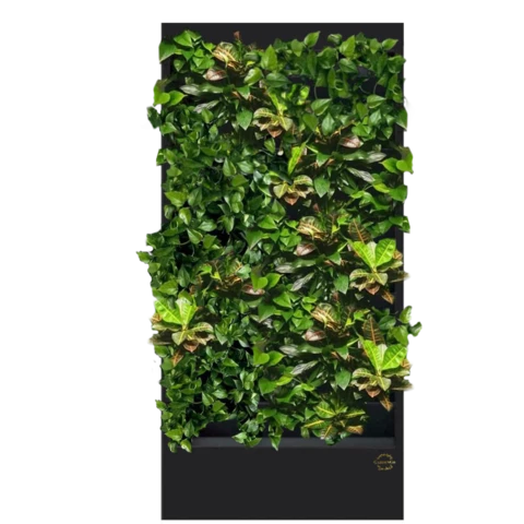 Фитостена №2.1 с автополивом, растениями и подсветкой