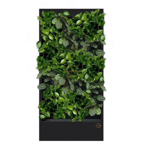 Фитостена №2.2 с автополивом, растениями и подсветкой