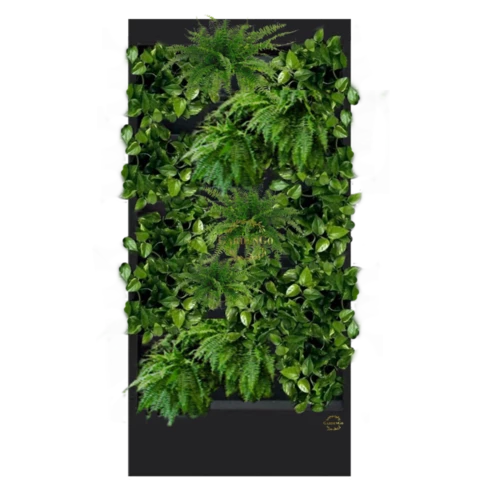 Фитостена №2.3 с автополивом, растениями и подсветкой