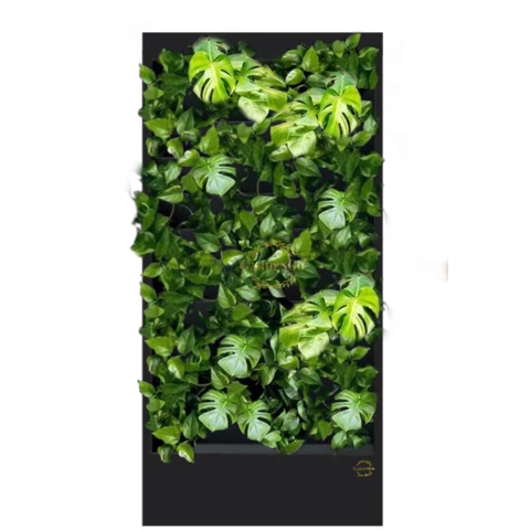 Фитостена №2.5 с автополивом, растениями и подсветкой