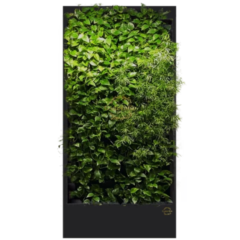 Фитостена №2.9 с автополивом, растениями и подсветкой