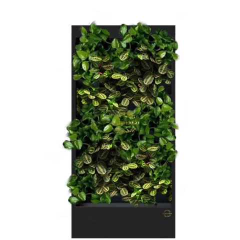 Фитостена №2.10 с автополивом, растениями и подсветкой