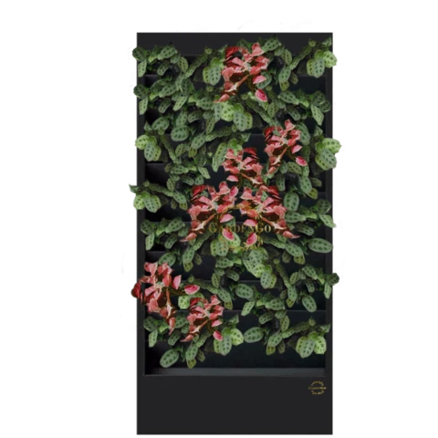 Фитостена №2.11 с автополивом, растениями и подсветкой