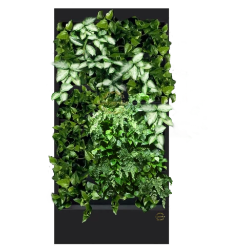 Фитостена №3.1 с автополивом, растениями и подсветкой