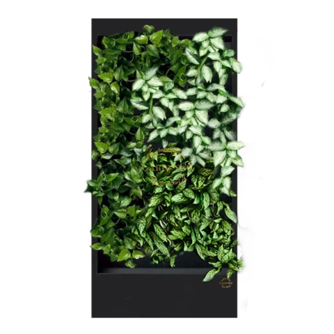 Фитостена №3.2 с автополивом, растениями и подсветкой