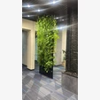Фитостена №3.3 с автополивом, растениями и подсветкой