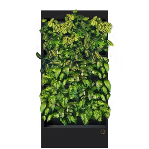 Фитостена №3.4 с автополивом, растениями и подсветкой