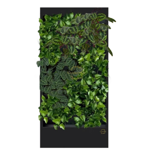 Фитостена №3.5 с автополивом, растениями и подсветкой