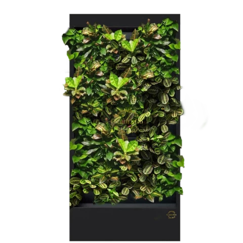 Фитостена №3.7 с автополивом, растениями и подсветкой