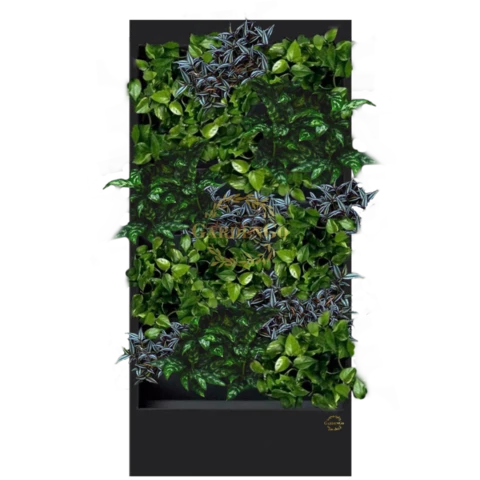 Фитостена №3.8 с автополивом, растениями и подсветкой