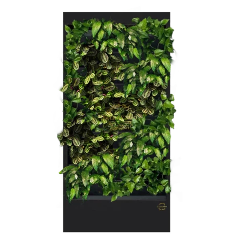 Фитостена №3.10 с автополивом, растениями и подсветкой