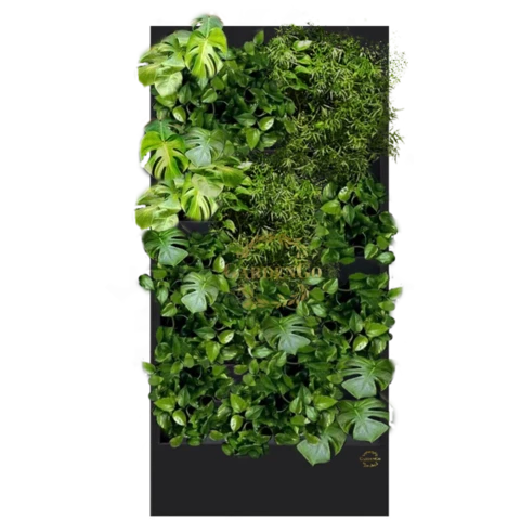 Фитостена №3.11 с автополивом, растениями и подсветкой