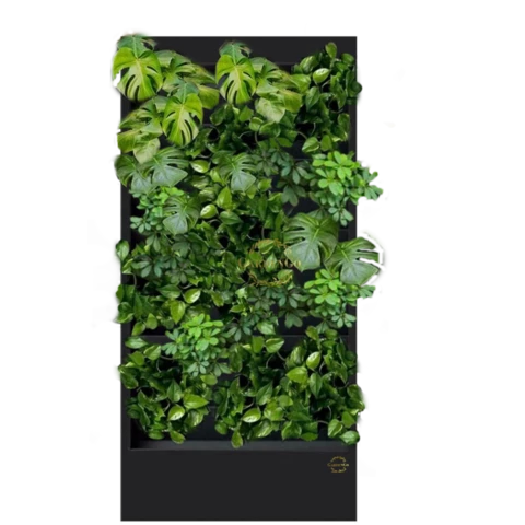 Фитостена №3.12 с автополивом, растениями и подсветкой