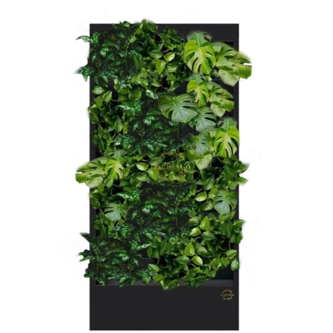 Фитостена №3.13 с автополивом, растениями и подсветкой