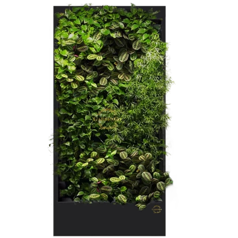 Фитостена №3.14 с автополивом, растениями и подсветкой