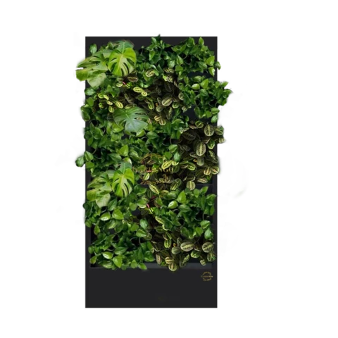 Фитостена №3.15 с автополивом, растениями и подсветкой