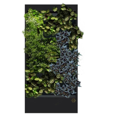 Фитостена №3.16 с автополивом, растениями и подсветкой