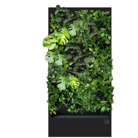 Фитостена №4.1 с автополивом, растениями и подсветкой