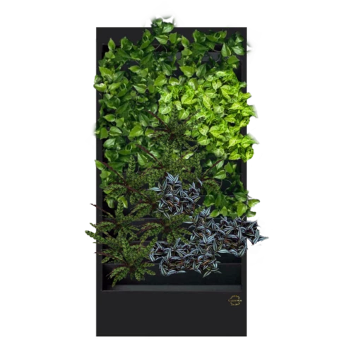 Фитостена №4.2 с автополивом, растениями и подсветкой
