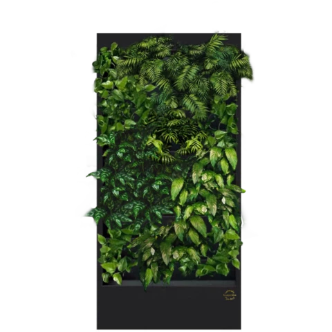 Фитостена №4.3 с автополивом, растениями и подсветкой