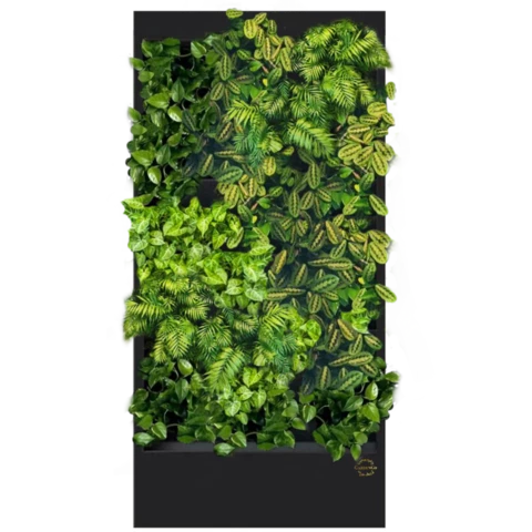 Фитостена №4.4 с автополивом, растениями и подсветкой