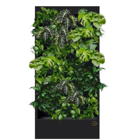 Фитостена №4.7 с автополивом, растениями и подсветкой