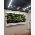 Фитостена №4.7 с автополивом, растениями и подсветкой