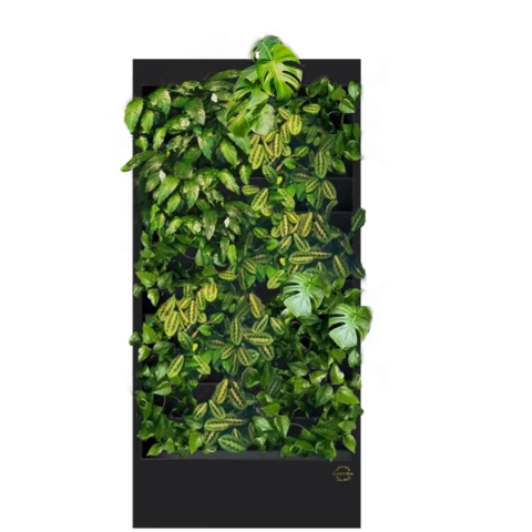 Фитостена №4.8 с автополивом, растениями и подсветкой