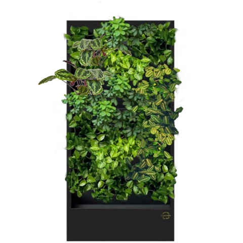 Фитостена №5.1 с автополивом, растениями и подсветкой