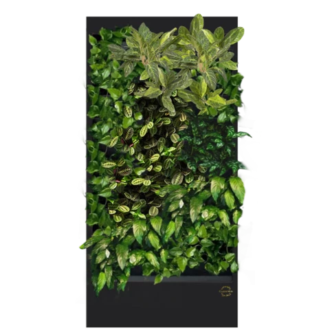 Фитостена №5.2 с автополивом, растениями и подсветкой