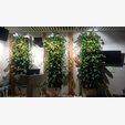 Фитостена №5.2 с автополивом, растениями и подсветкой