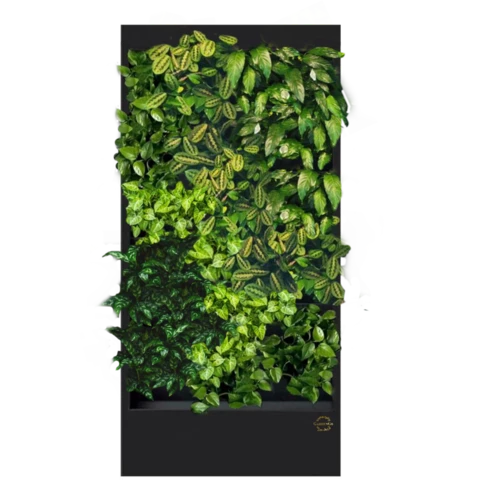 Фитостена №5.3 с автополивом, растениями и подсветкой