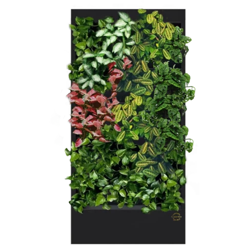 Фитостена №5.6 с автополивом, растениями и подсветкой