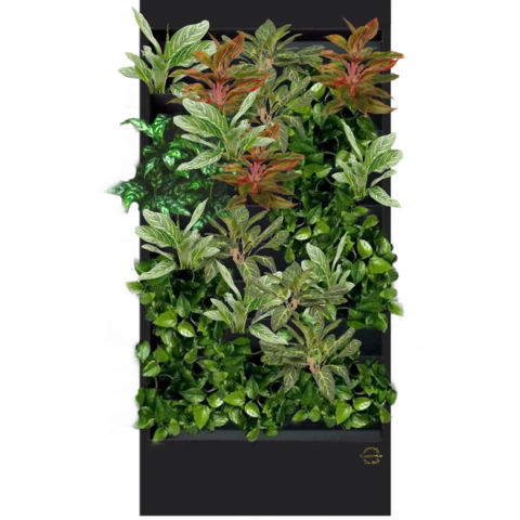 Фитостена №5.7 с автополивом, растениями и подсветкой