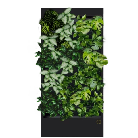 Фитостена №5.9 с автополивом, растениями и подсветкой