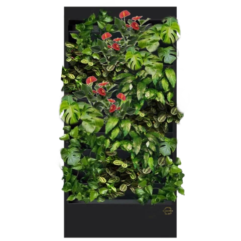 Фитостена №5.10 с автополивом, растениями и подсветкой
