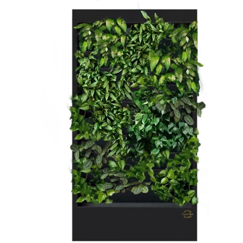 Фитостена №5.11 с автополивом, растениями и подсветкой